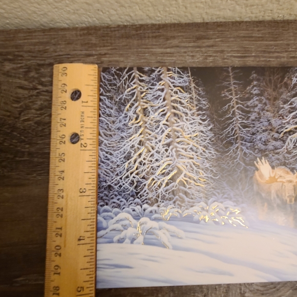 20 Moose Christmas Cards with box - Picture 8 of 11